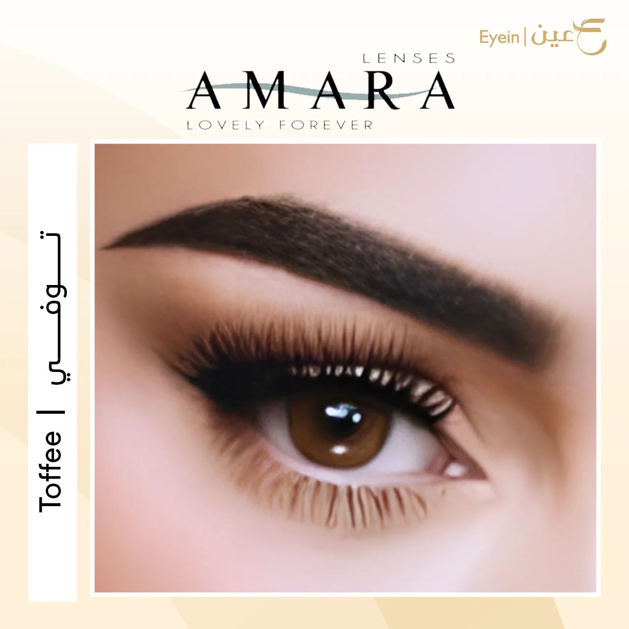 عدسات أمارا اليومية - توفي